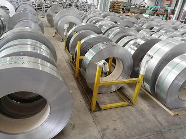 Stainless Steel Strip